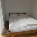Apartman Kraus *