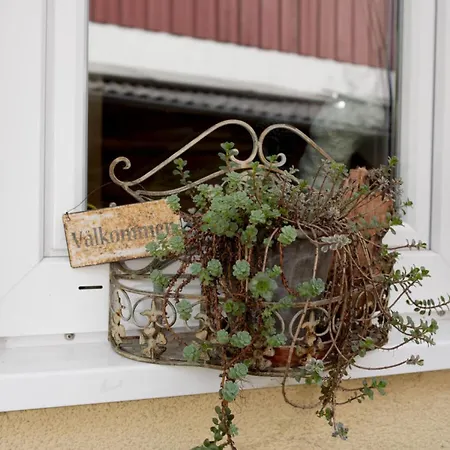 Kraus Salem (Baden-Wurttemberg)